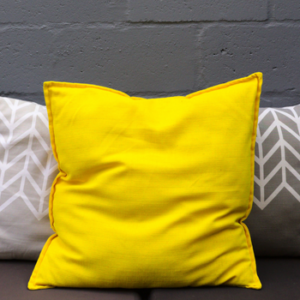 Customized Scatter Cushion